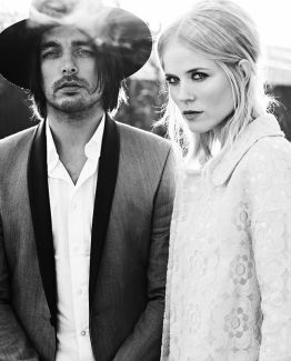The Common Linnets pictures