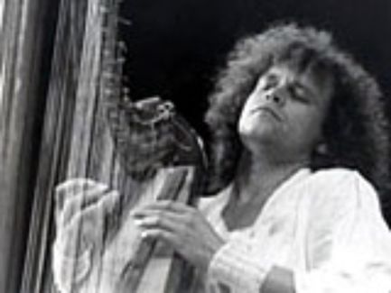 Andreas Vollenweider pictures