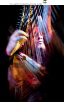 Andreas Vollenweider pictures