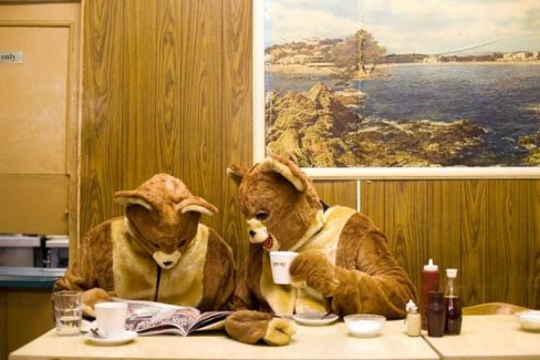 The 2 Bears pictures