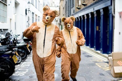 The 2 Bears pictures