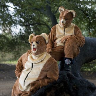 The 2 Bears pictures