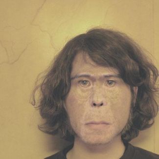 Ape School pictures