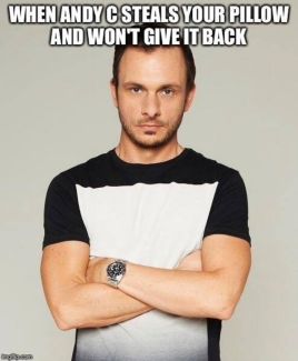 Andy C pictures