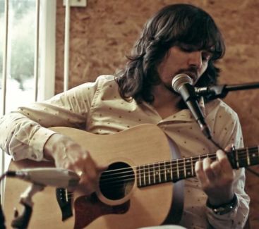 Bibio pictures