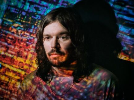 Bibio pictures