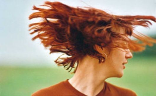 Barbara Morgenstern pictures