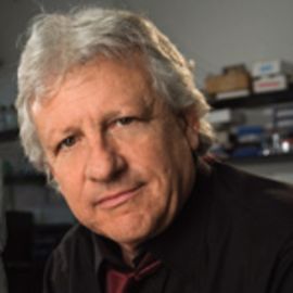 Stuart Firestein Headshot