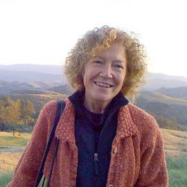 Joyce Sutphen Headshot