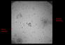 suv_2c3