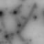 chmp1_ist1