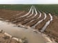 Furrow irrigation in cotton