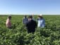 2019 GoAnnaAg Collaboration Demo Sites