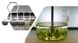 Microalgae harvesting