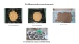 Biofilter 1