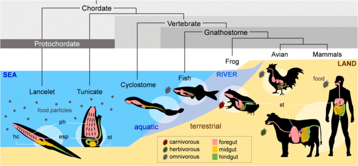 (Nakayama, Sekiguchi, & Ogasawara, 2019)