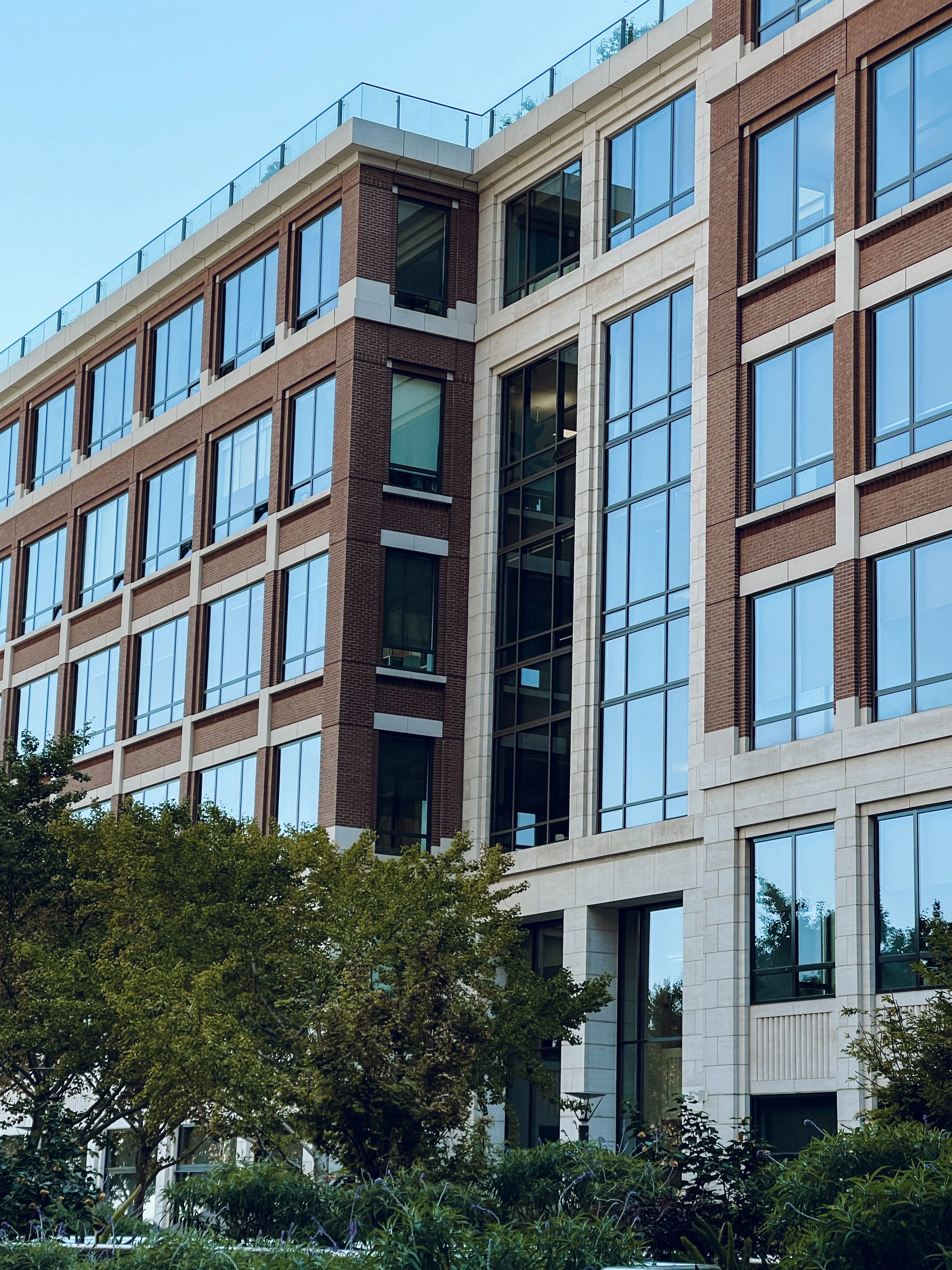 A brick and glass office building with tall windows behind a row of leafy trees
