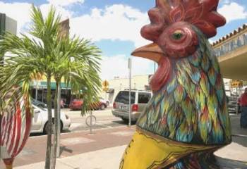 Rooster Statue in Miami - Meeting Rooms at Alliance Virtual Offices