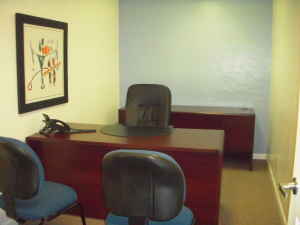 Fiesta "Day Office"