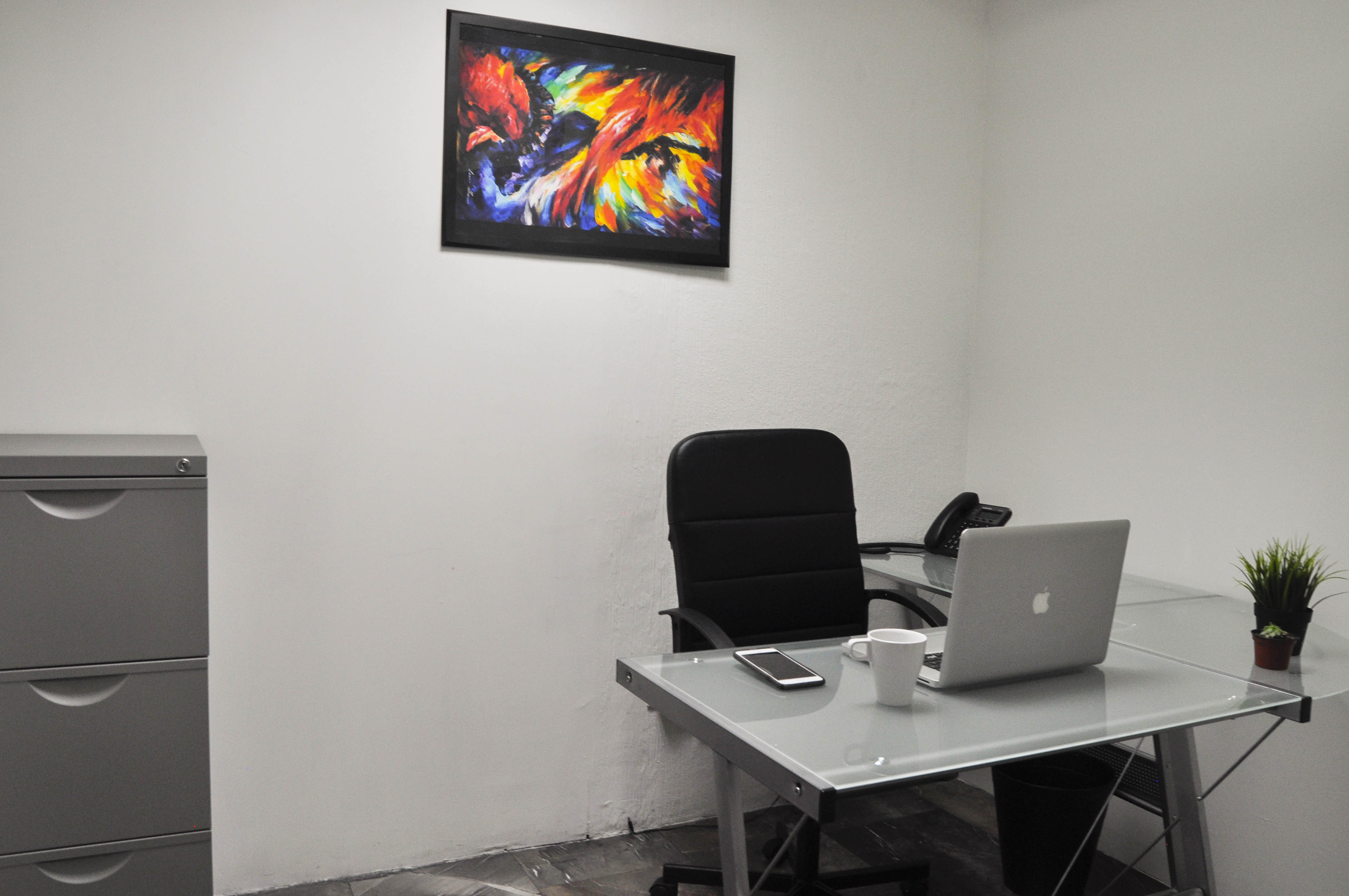 Av. Mexico 2798, 5th Floor, Guadalajara, 44680