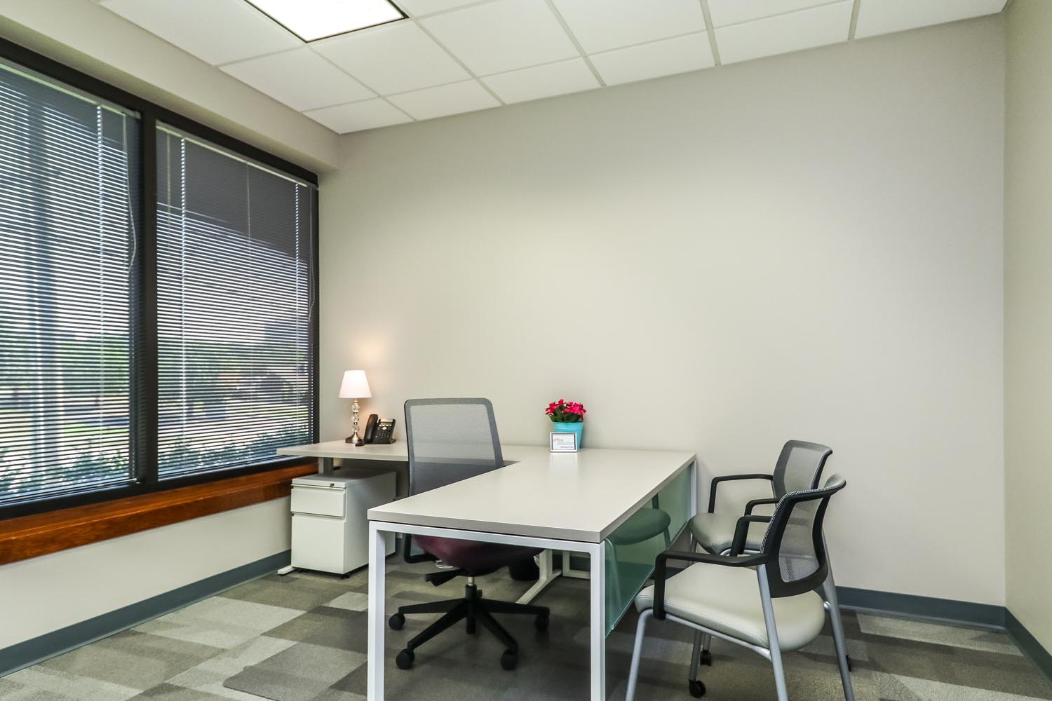 8101 College Blvd., Suite 100, Overland Park, KS, 66210