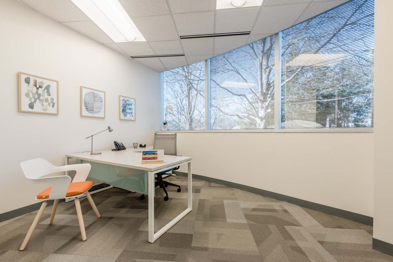 8609 Westwood Center Dr., Suite 110, Tysons Corner, VA, 22182