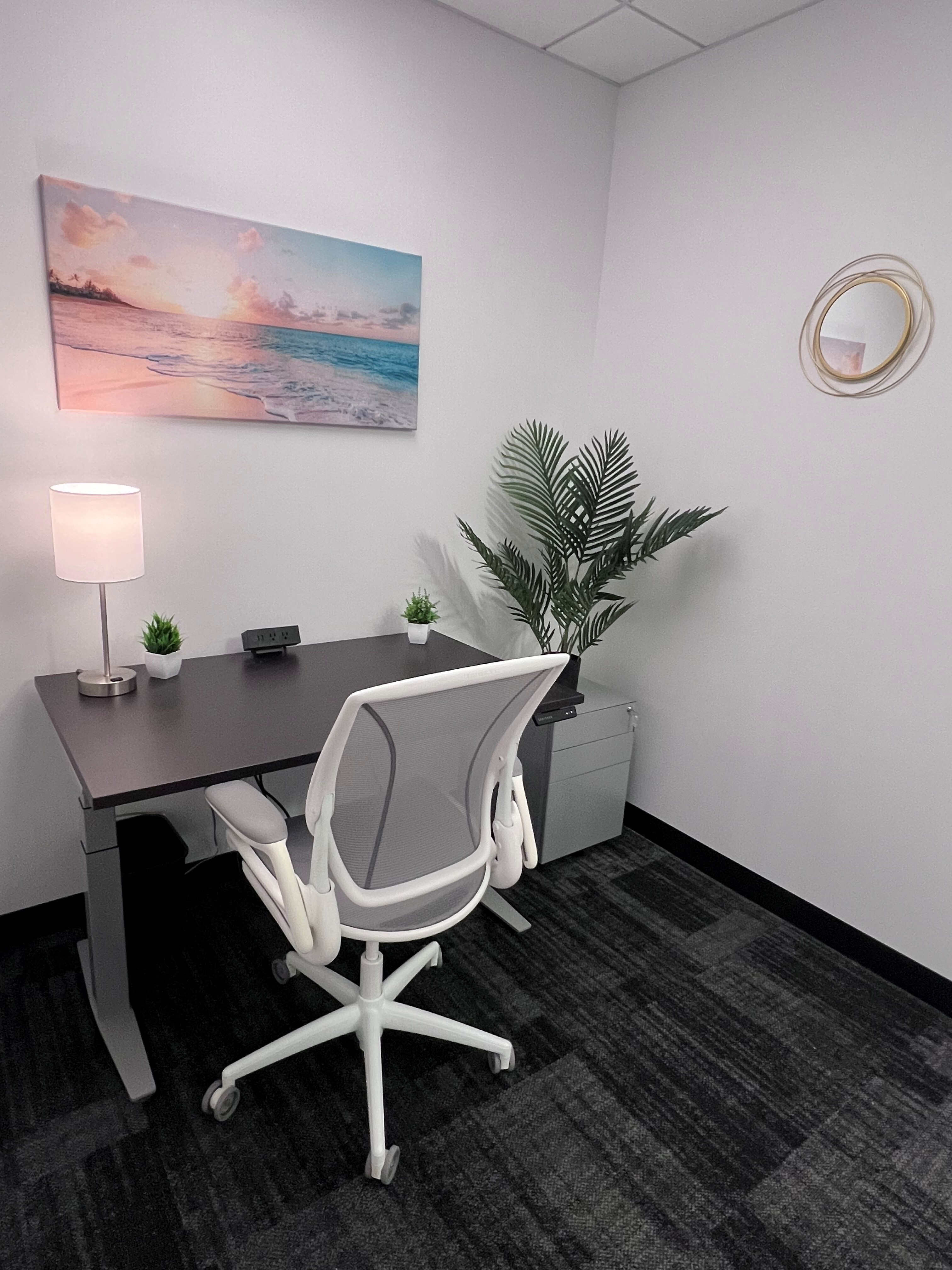 570 Lake Cook Road, Suite 300, Deerfield, IL, 60015