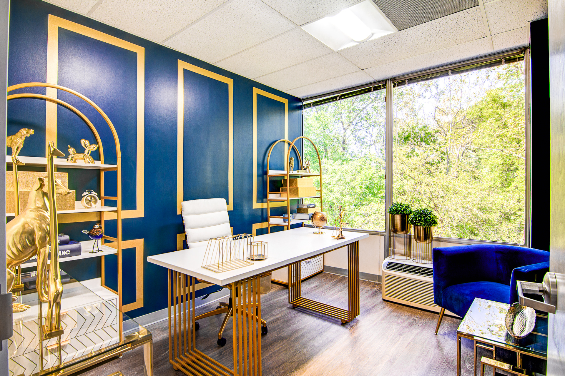 6801 Kenilworth Avenue, Suite 300, Riverdale, MD, 20737