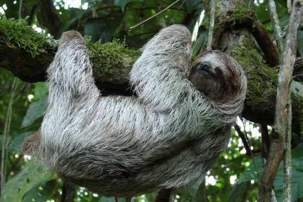 600×400-1-50-2c751f9e6b811a1795b1b20d24e0b900