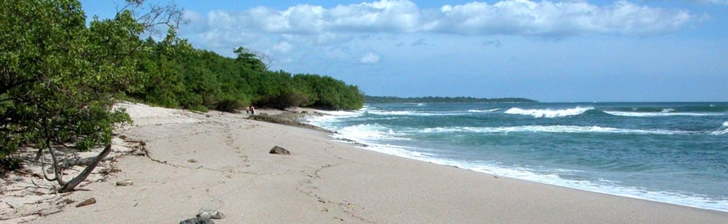 Playa Langosta