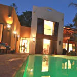 tamarindo-baby-howler-monkey