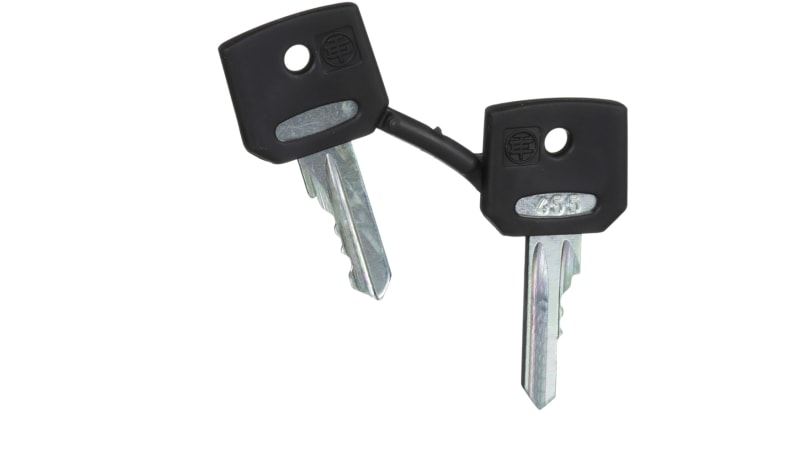 Schneider Electric ZBG455 Two Replacement Keys, 22mm Push Button, 455 ...