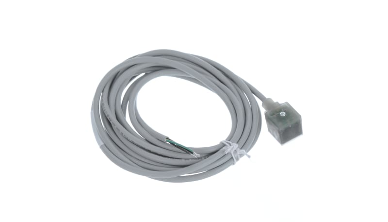 Turck VAS 22-C653-5M Cordset, DIN Valve Female, Type A, 5 Meter, w/LED ...
