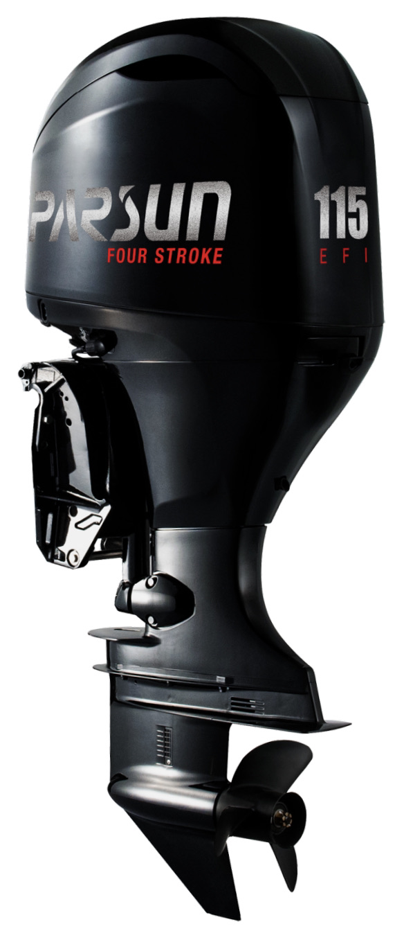 天窓洞 91cm×122cm Sklep | Alligator