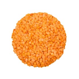 Linzen rood bio 1 kg img