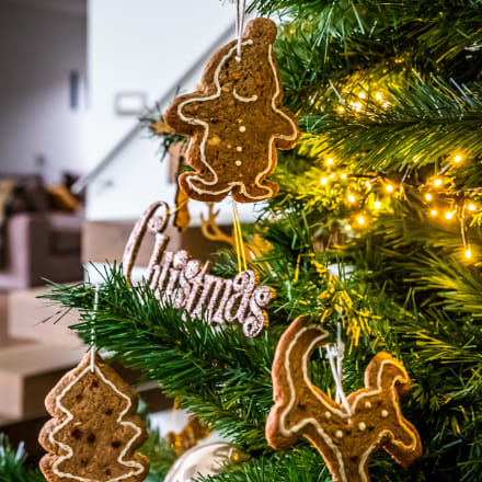 Spéculoos de Noël avec gluhwein et cranberry img