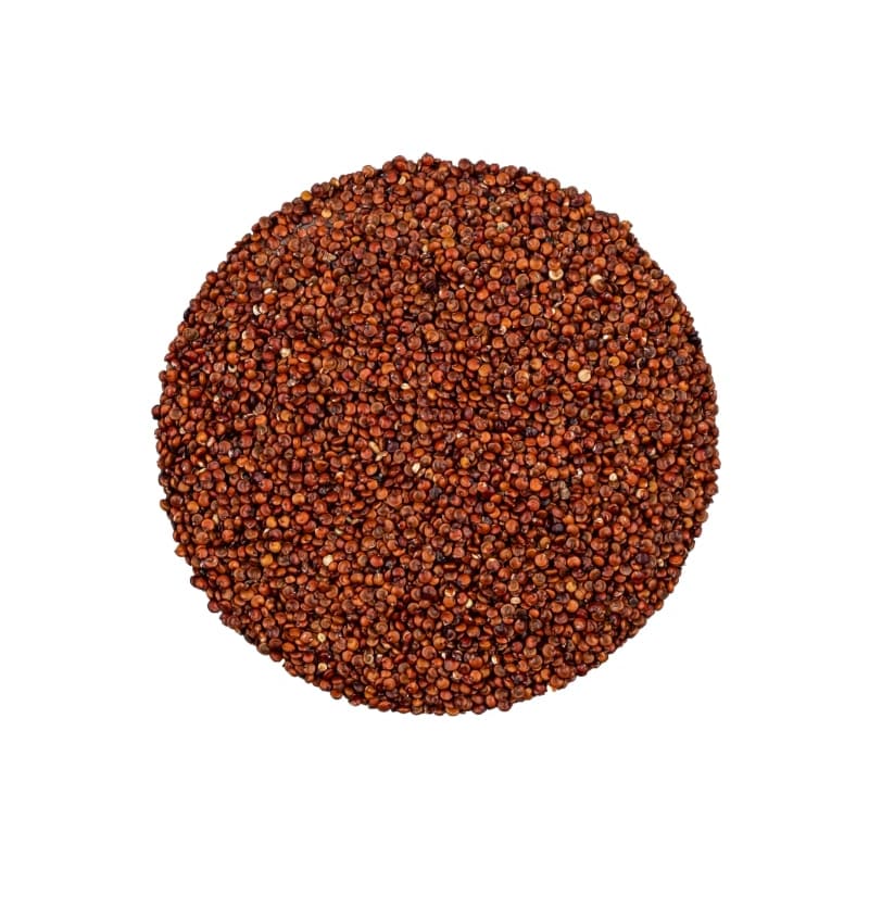 Rode quinoa 301 img