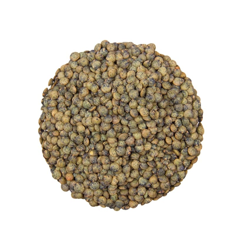 Donkergroene linzen 186 img