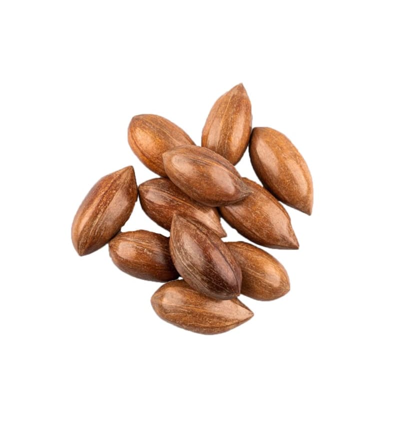 Pecan dop 193 img