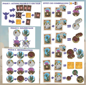 dragon ranch liste des combinaisons