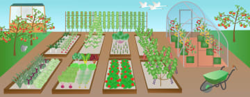 Drawing of an example allotment