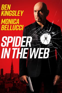 Spider In The Web