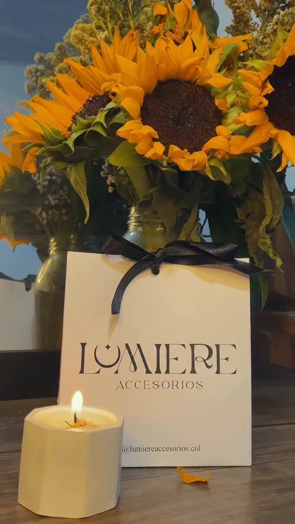 Lumiere - Accesorios UGC | Sheyla Vergara