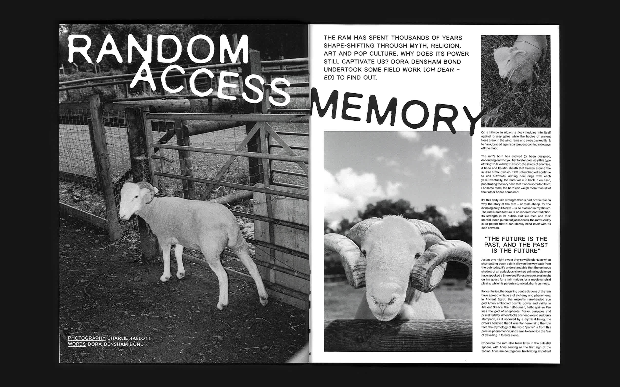 Black-and-white zine spread featuring photographs of rams with handwritten-style Random Access Memory typography and editorial text.