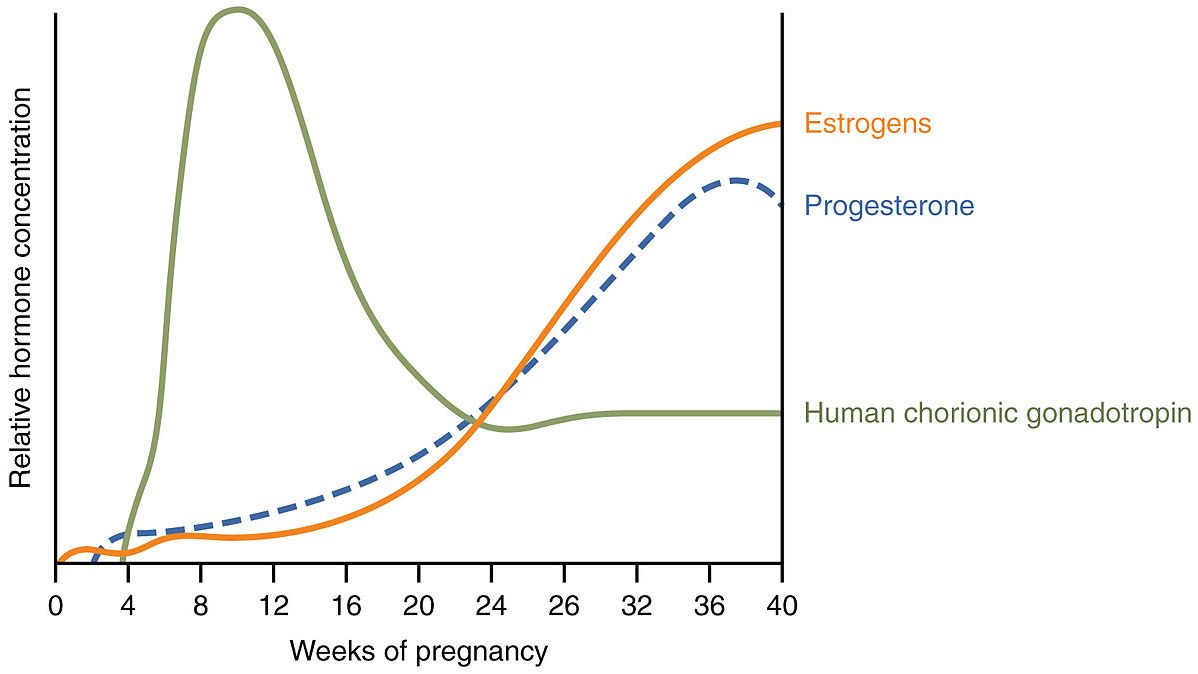 4. "How Hormonal Changes During Pregnancy Affect Your Nails" - wide 4