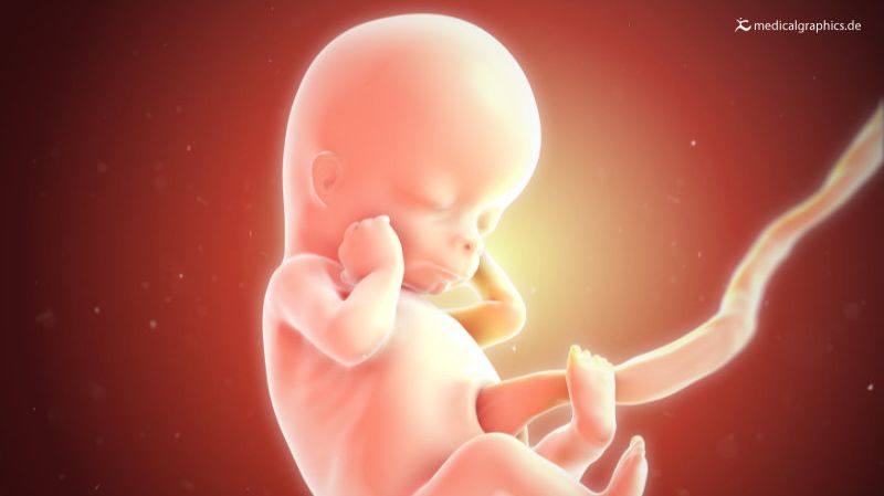 green amniotic fluid green amniotic fluid