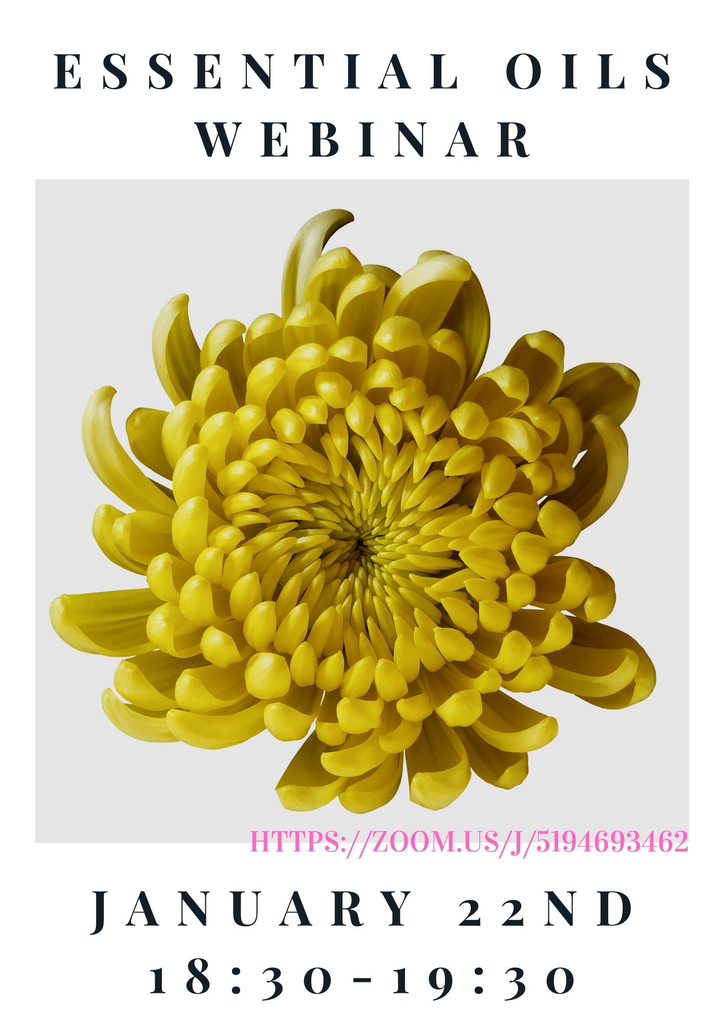 kochkurs clipart flower