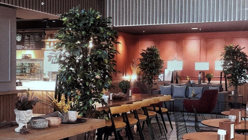 robincookkiziltoprak