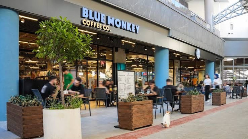 bluemonkeycoffee