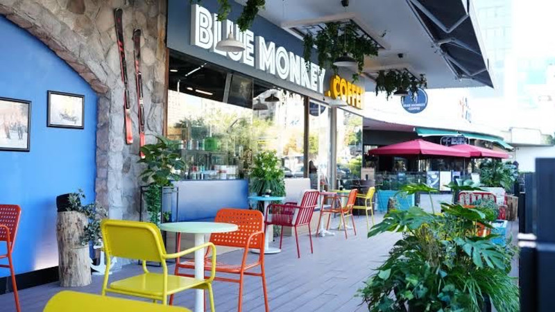 bluemonkeycoffee